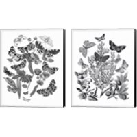 Framed 'Butterfly Bouquet 2 Piece Canvas Print Set' border=