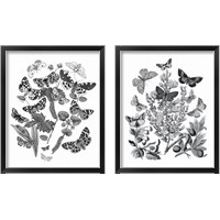 Framed 'Butterfly Bouquet 2 Piece Framed Art Print Set' border=