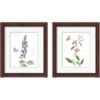 Framed 'Spring Fields 2 Piece Framed Art Print Set' border=