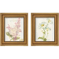 Framed Floursack Florals 2 Piece Framed Art Print Set