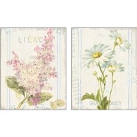 Framed 'Floursack Florals 2 Piece Art Print Set' border=
