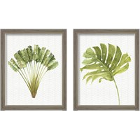 Framed 'Mixed Greens 2 Piece Framed Art Print Set' border=