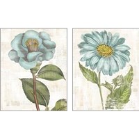 Framed 'Bloemen Boek 2 Piece Art Print Set' border=