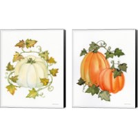 Framed 'Pumpkin and Vines 2 Piece Canvas Print Set' border=
