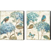 Framed Blue Garden 2 Piece Canvas Print Set