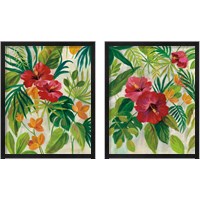 Framed 'Tropical Jewels 2 Piece Framed Art Print Set' border=