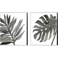Framed 'Tropical Palm 2 Piece Canvas Print Set' border=