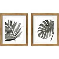 Framed Tropical Palm 2 Piece Framed Art Print Set