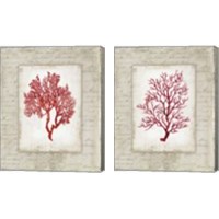 Framed Red Coral 2 Piece Canvas Print Set