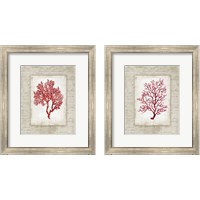 Framed 'Red Coral 2 Piece Framed Art Print Set' border=