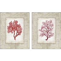 Framed 'Red Coral 2 Piece Art Print Set' border=