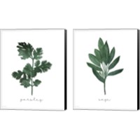 Framed 'Herbs 2 Piece Canvas Print Set' border=