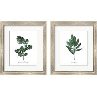 Framed 'Herbs 2 Piece Framed Art Print Set' border=