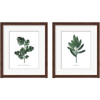 Framed Herbs 2 Piece Framed Art Print Set