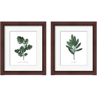 Framed Herbs 2 Piece Framed Art Print Set