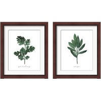Framed 'Herbs 2 Piece Framed Art Print Set' border=