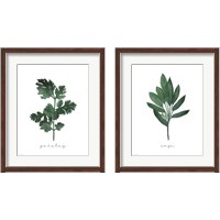 Framed 'Herbs 2 Piece Framed Art Print Set' border=