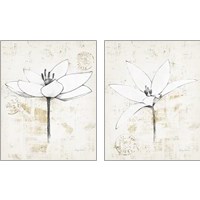 Framed 'Pencil Floral Gold 2 Piece Art Print Set' border=