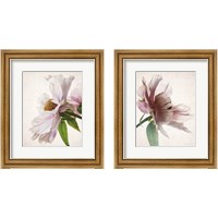 Framed Translucent Peony 2 Piece Framed Art Print Set