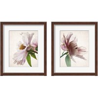 Framed Translucent Peony 2 Piece Framed Art Print Set