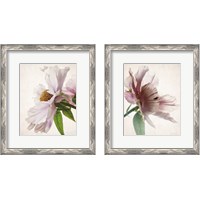 Framed Translucent Peony 2 Piece Framed Art Print Set