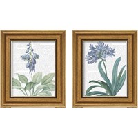 Framed Summer Botanicals 2 Piece Framed Art Print Set