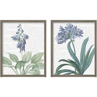 Framed 'Summer Botanicals 2 Piece Framed Art Print Set' border=