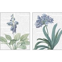 Framed 'Summer Botanicals 2 Piece Art Print Set' border=