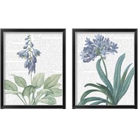Framed 'Summer Botanicals 2 Piece Framed Art Print Set' border=