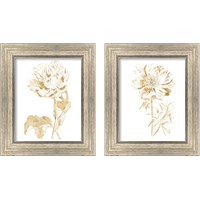 Framed Gilded Botanical 2 Piece Framed Art Print Set