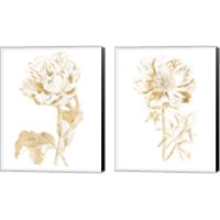 Framed 'Gilded Botanical 2 Piece Canvas Print Set' border=