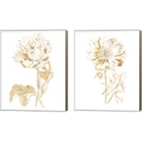 Framed 'Gilded Botanical 2 Piece Canvas Print Set' border=