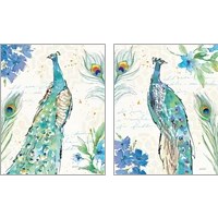 Framed 'Peacock Garden 2 Piece Art Print Set' border=