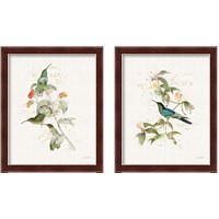Framed Colorful Hummingbirds 2 Piece Framed Art Print Set