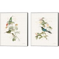 Framed 'Colorful Hummingbirds 2 Piece Canvas Print Set' border=