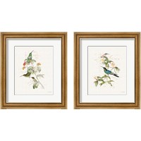 Framed 'Colorful Hummingbirds 2 Piece Framed Art Print Set' border=