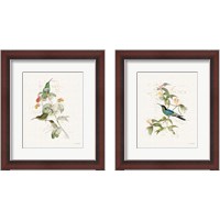 Framed Colorful Hummingbirds 2 Piece Framed Art Print Set