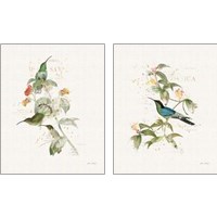 Framed 'Colorful Hummingbirds 2 Piece Art Print Set' border=