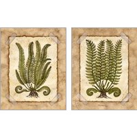 Framed 'Fern 2 Piece Art Print Set' border=