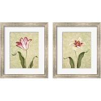 Framed 'Tulip & Lily 2 Piece Framed Art Print Set' border=
