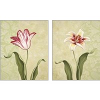 Framed 'Tulip & Lily 2 Piece Art Print Set' border=