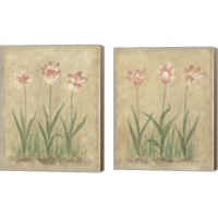 Framed 'Blooming Tulips 2 Piece Canvas Print Set' border=