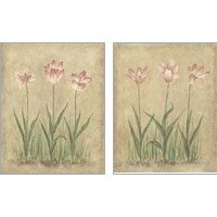 Framed 'Blooming Tulips 2 Piece Art Print Set' border=