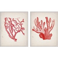 Framed 'Red Coral 2 Piece Art Print Set' border=