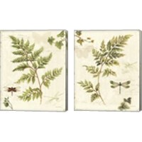 Framed 'Ivies and Ferns 2 Piece Canvas Print Set' border=