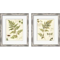 Framed 'Ivies and Ferns 2 Piece Framed Art Print Set' border=