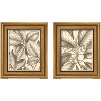 Framed 'Tropical Connection 2 Piece Framed Art Print Set' border=