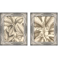 Framed 'Tropical Connection 2 Piece Framed Art Print Set' border=