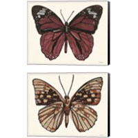 Framed Papillon 2 Piece Canvas Print Set