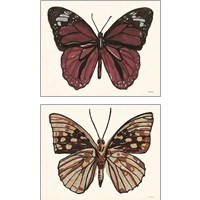 Framed Papillon 2 Piece Art Print Set